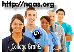 Illinois College Grants